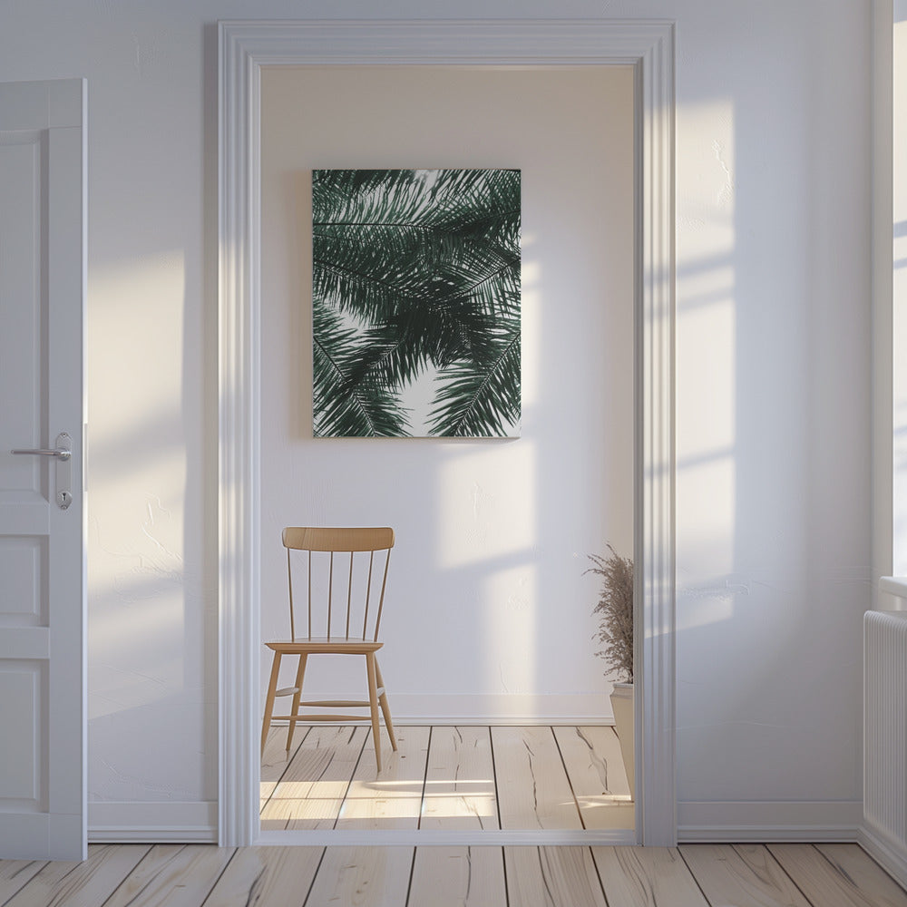 Sonnenbeschienenes Palmendach | Leinwand