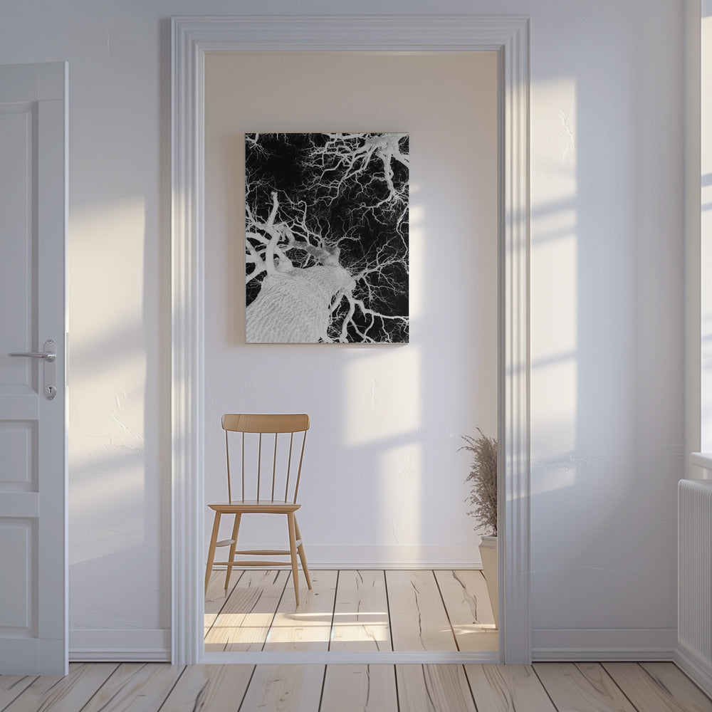 Winter's Veins | Canvas
