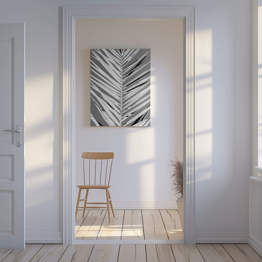 Monochrome Fronds | Canvas