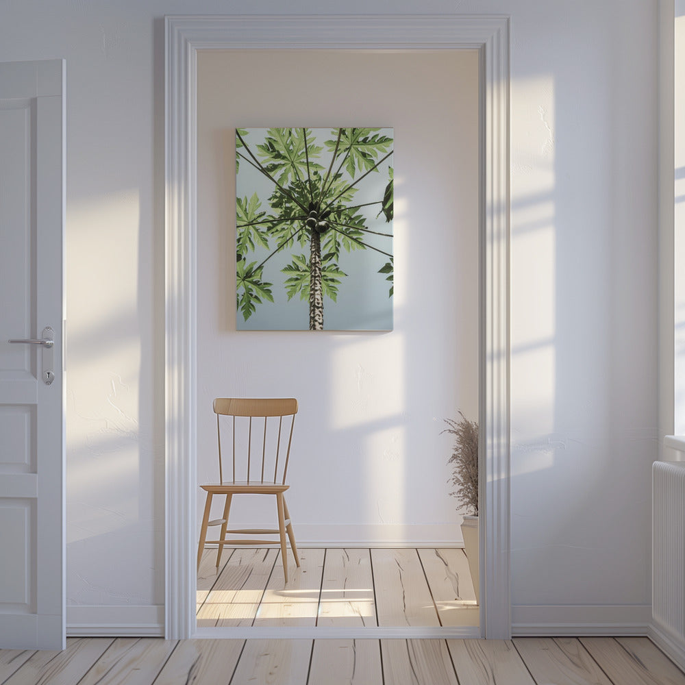 Skyward Papaya | Canvas