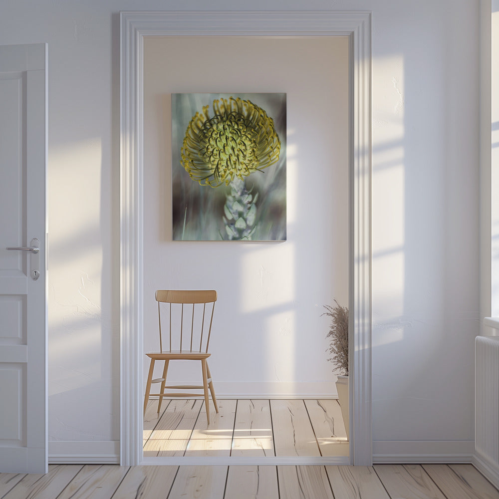 Golden Bloom Burst | Canvas