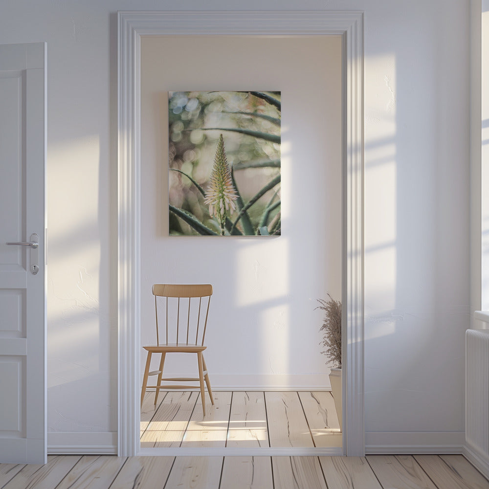 Succulent Serenity | Canvas
