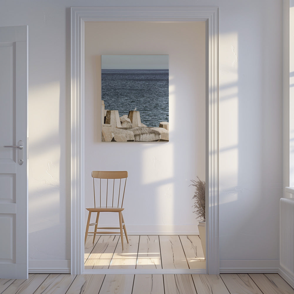 Möwe am Meer | Leinwand