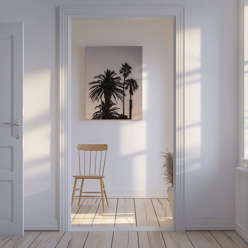 Silhouette von Palmen | Leinwand