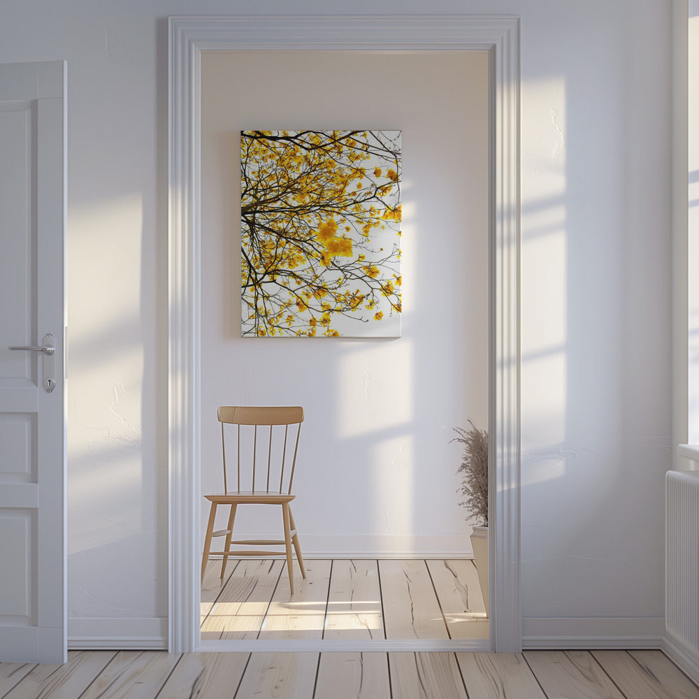 Goldener Baldachin-Ausbruch | Leinwand