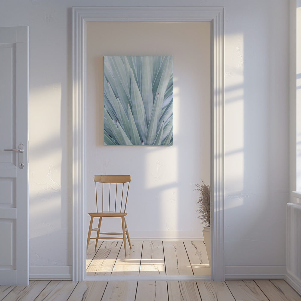 Azurblauer Agaventanz | Leinwand