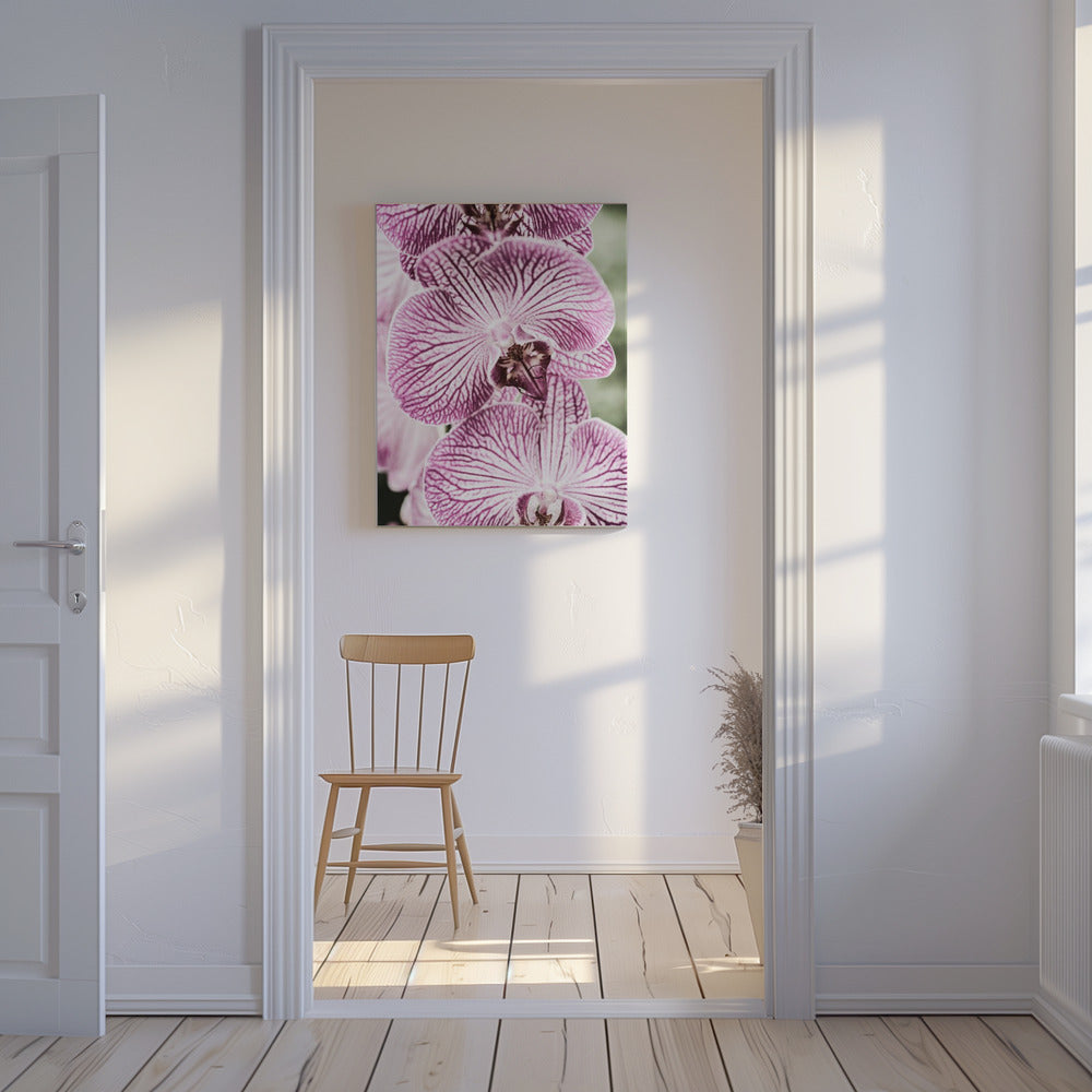 Tigerblüten | Leinwand