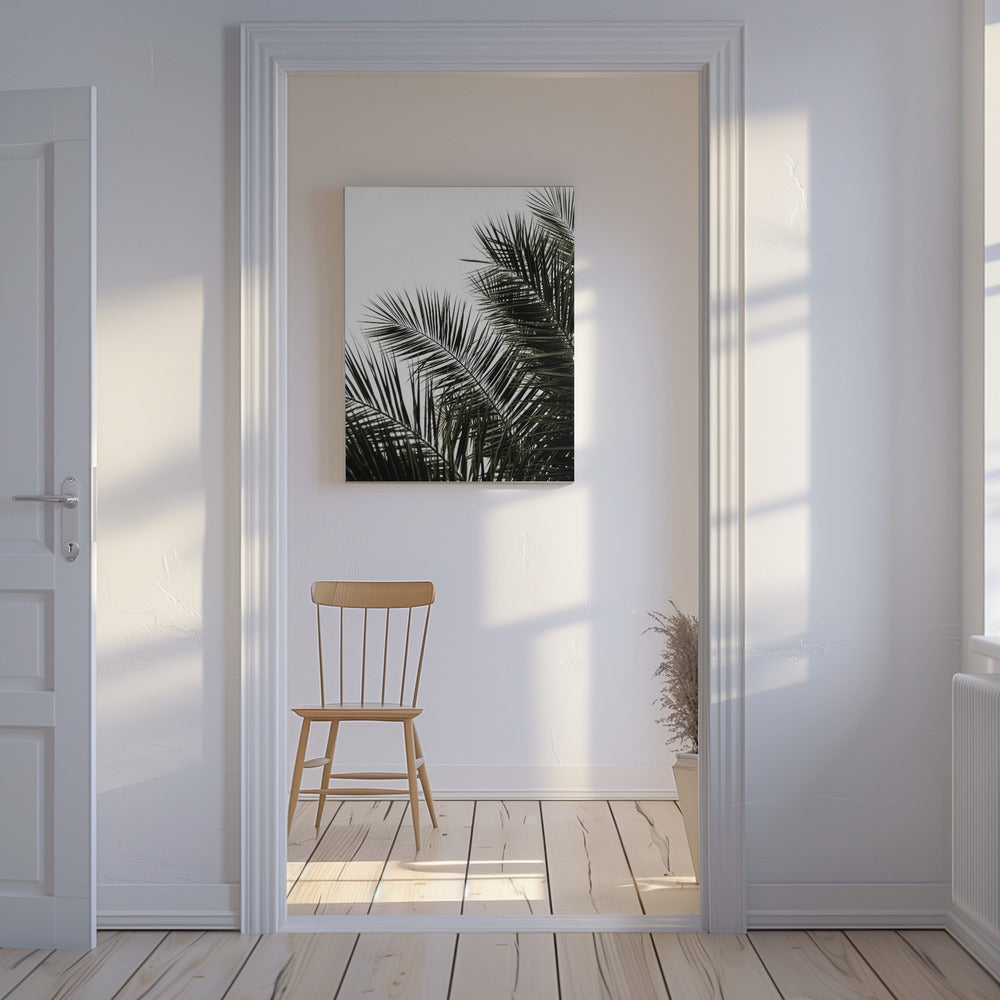 Palm Leaves 3 | Canvas