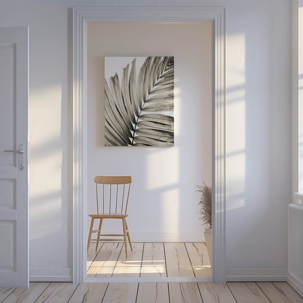 Palm Leaves 22 | Canvas