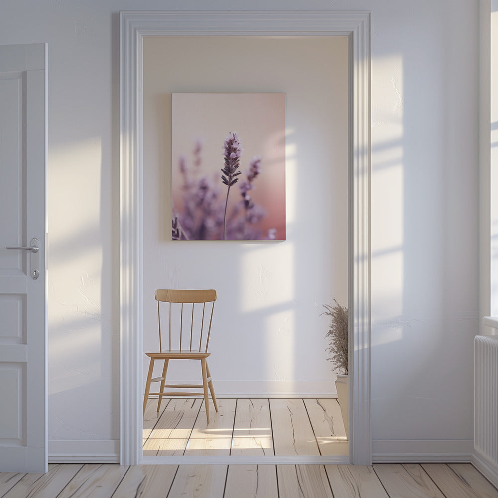 Lavendel Gelassenheit | Leinwand