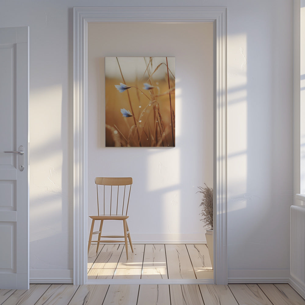 Blaue Blüten im Morgengrauen | Leinwand