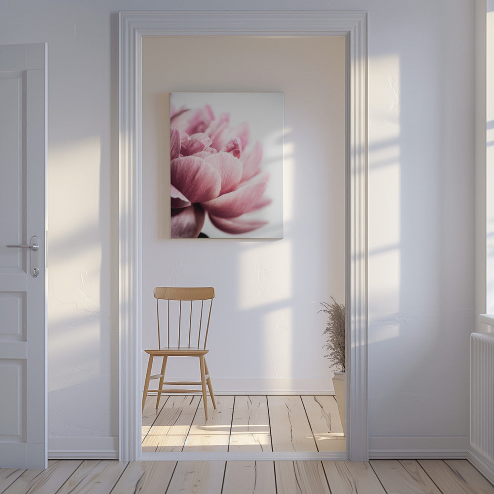 Peony 1 | Canvas