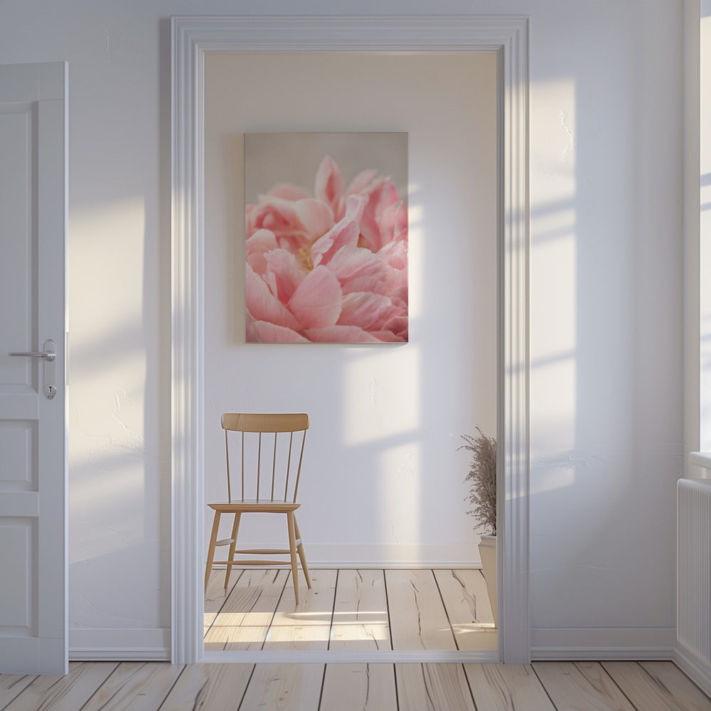 Peony 4 | Canvas