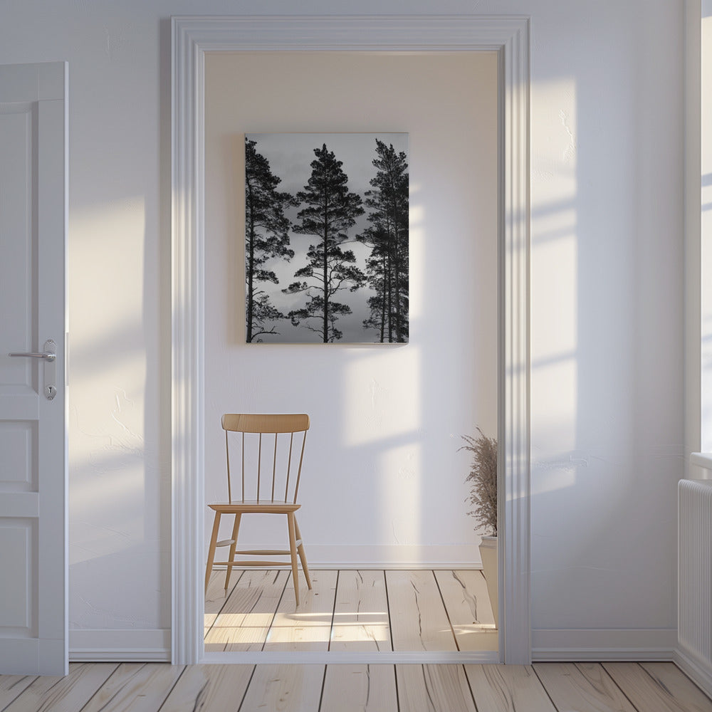 Swedish Trees | Canvas