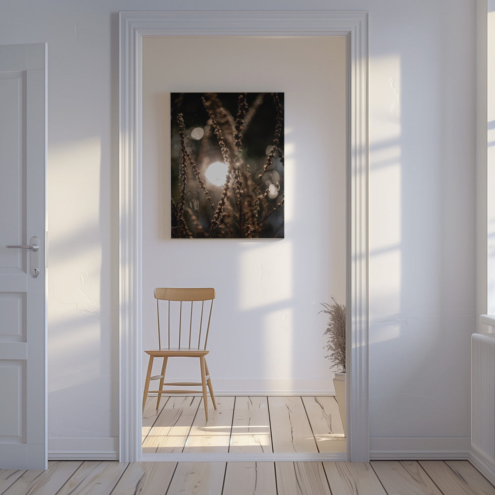 Natural Sparkle 2 | Canvas