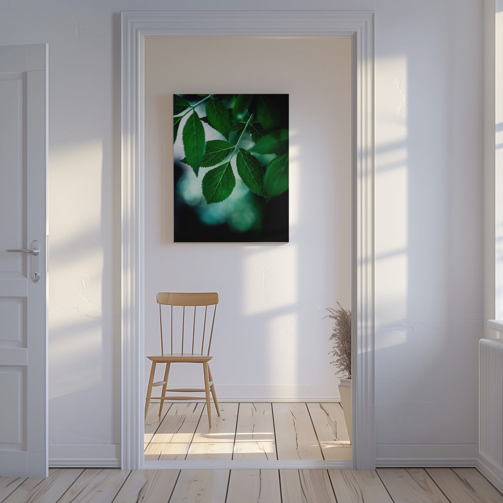 Dark Leaves 14 | Canvas