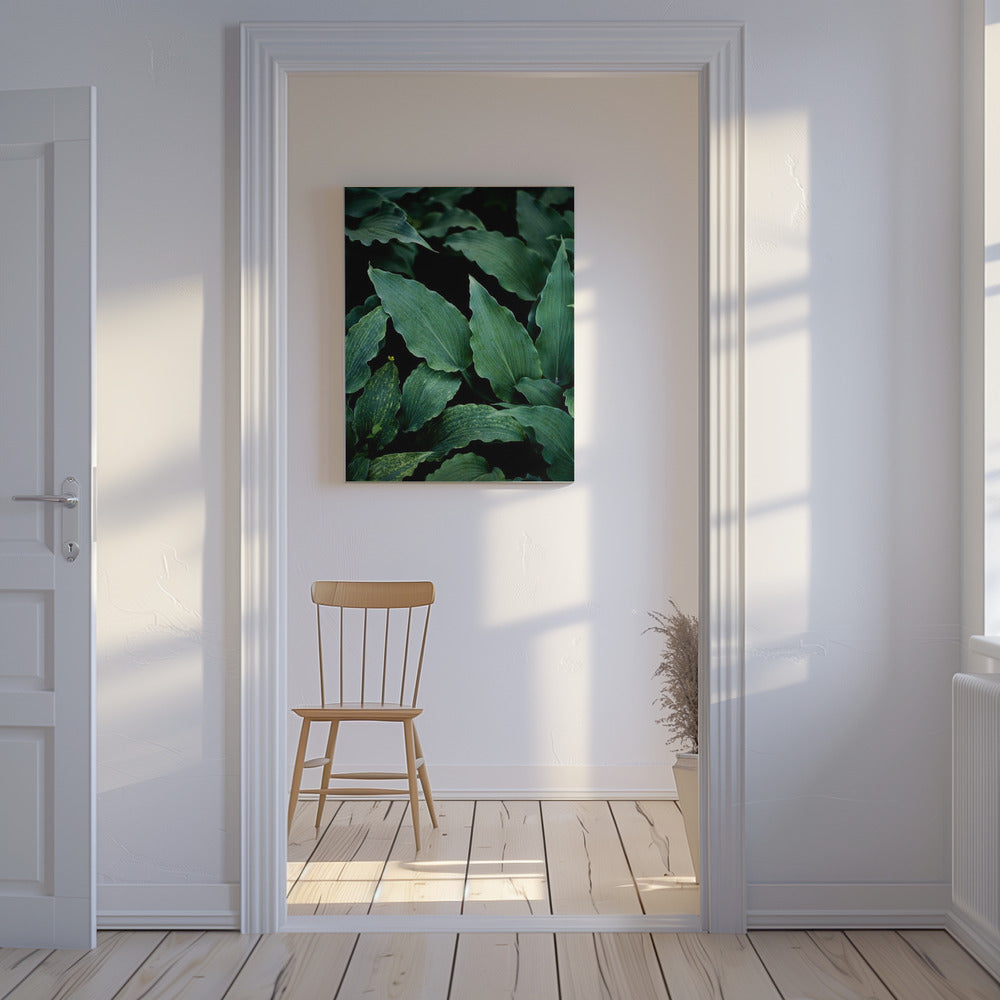 Dark Leaves 15 | Canvas