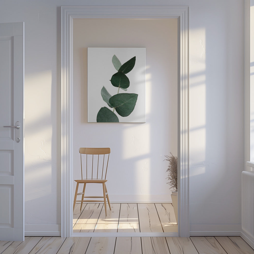 Eucalyptus 4 A1 | Canvas