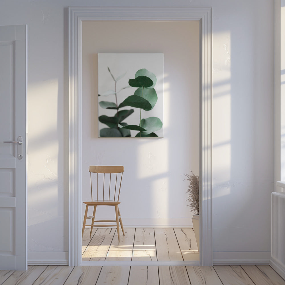 Eucalyptus 5 A1 | Canvas