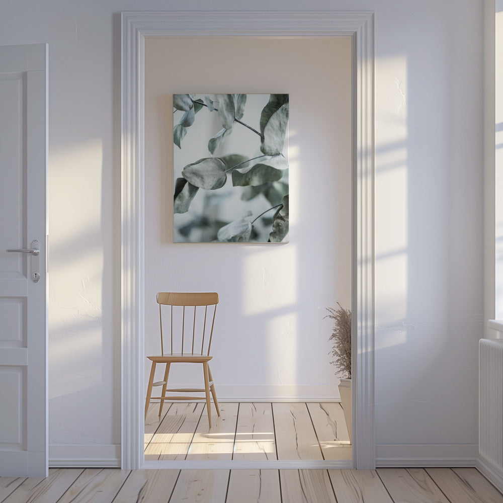 Eucalyptus 8 | Canvas