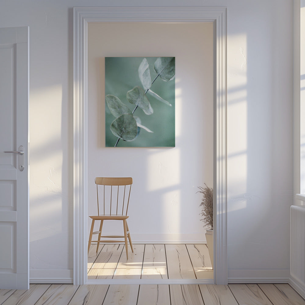 Eucalyptus 9 | Canvas