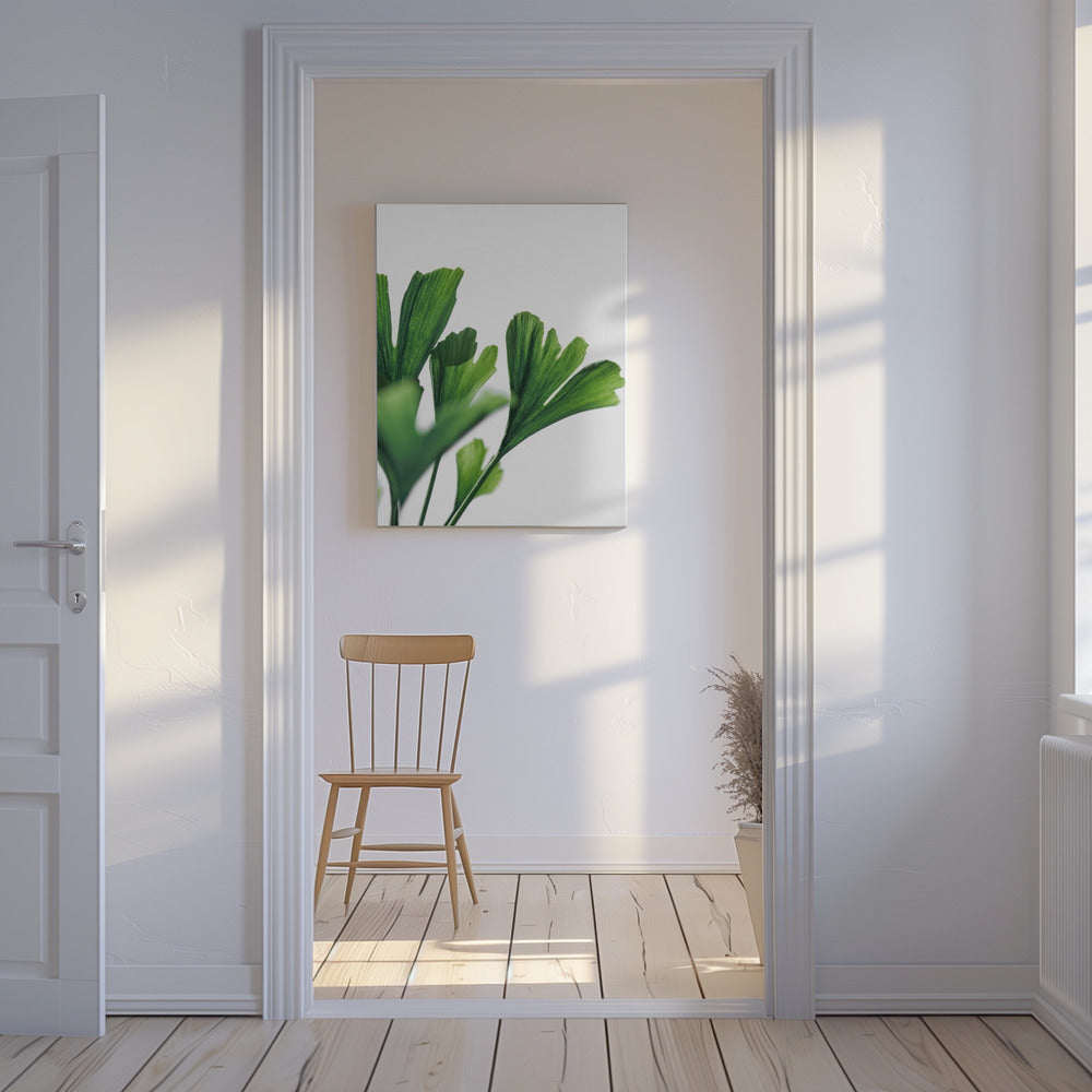 Ginko 4 | Canvas