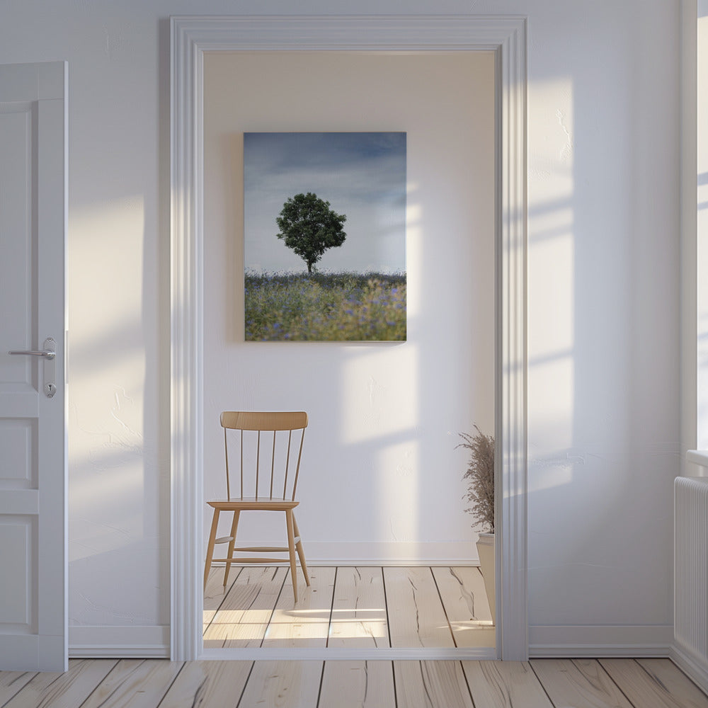 Sommerwiese | Leinwand