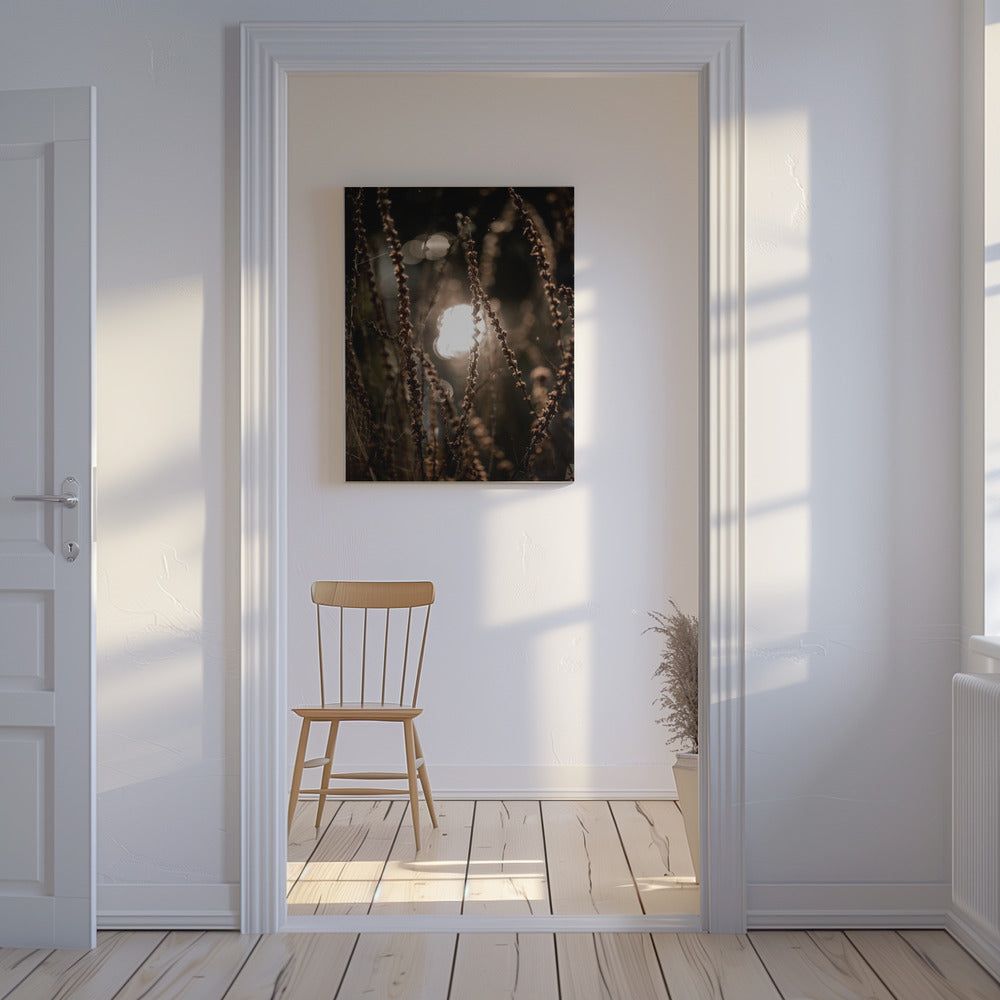 Herbstlichter 2 | Leinwand