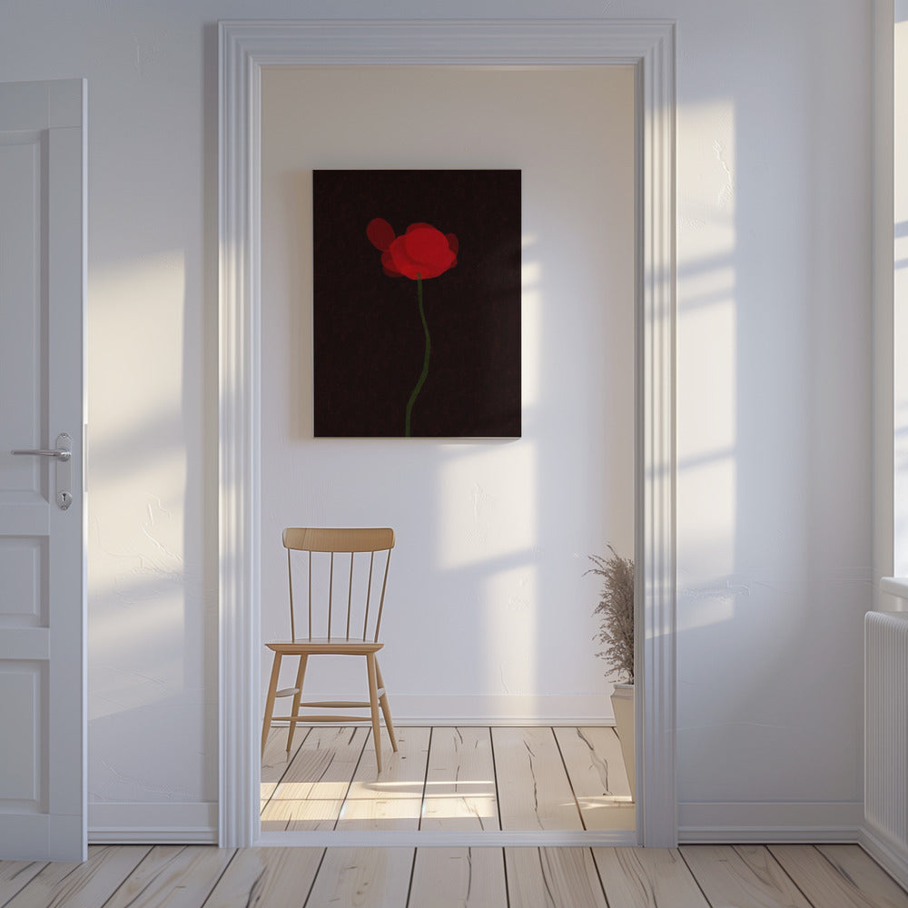 Poppy | Canvas