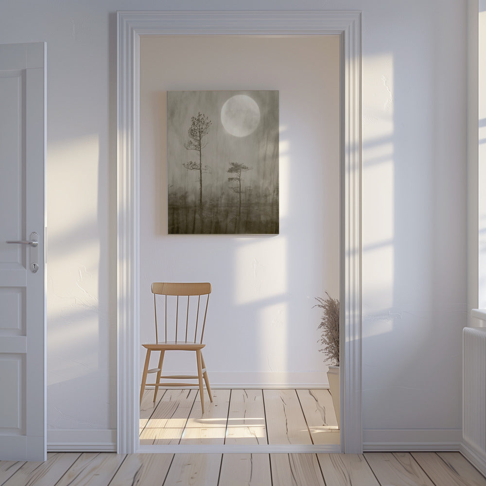Moonlight Moor | Canvas