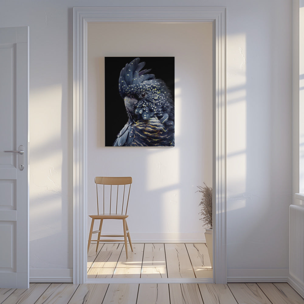 Blackcockatoo2 | Leinwand