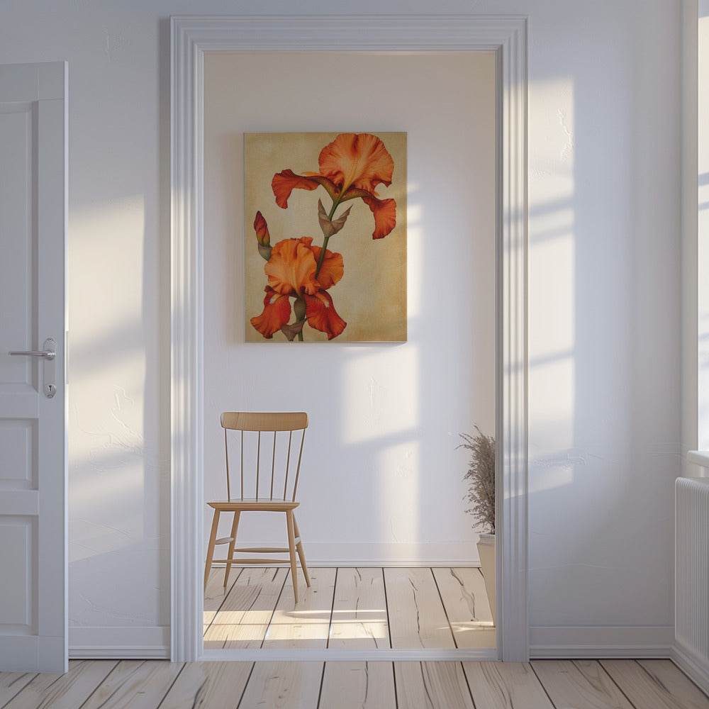 Poster Canvas Sng Iris 36 | Canvas