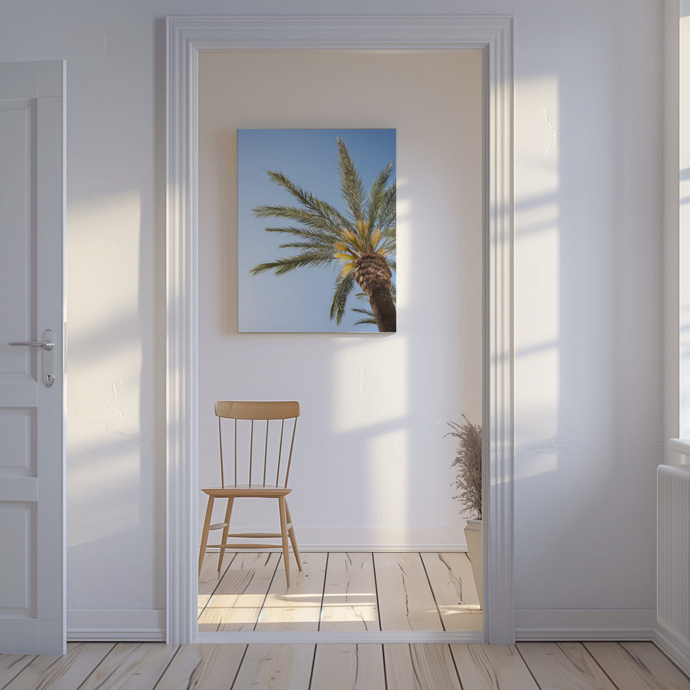 Vejer de La Frontera Palme | Leinwand