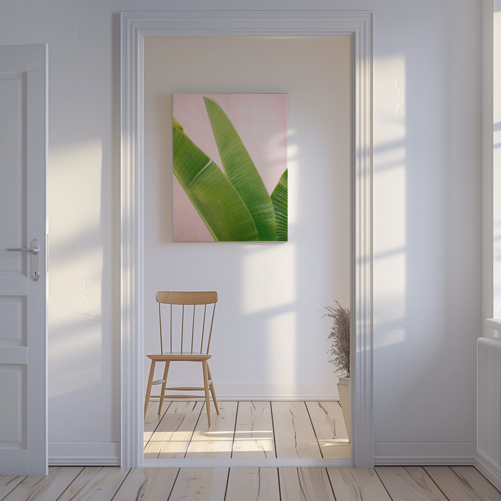 Merida Grün auf Pink | Leinwand