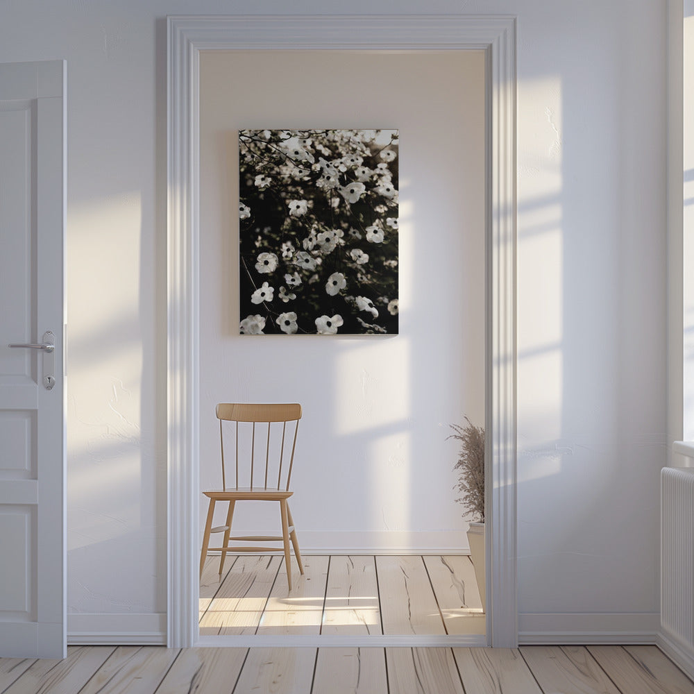 Weißer Frühlingsbaum 5 | Leinwand