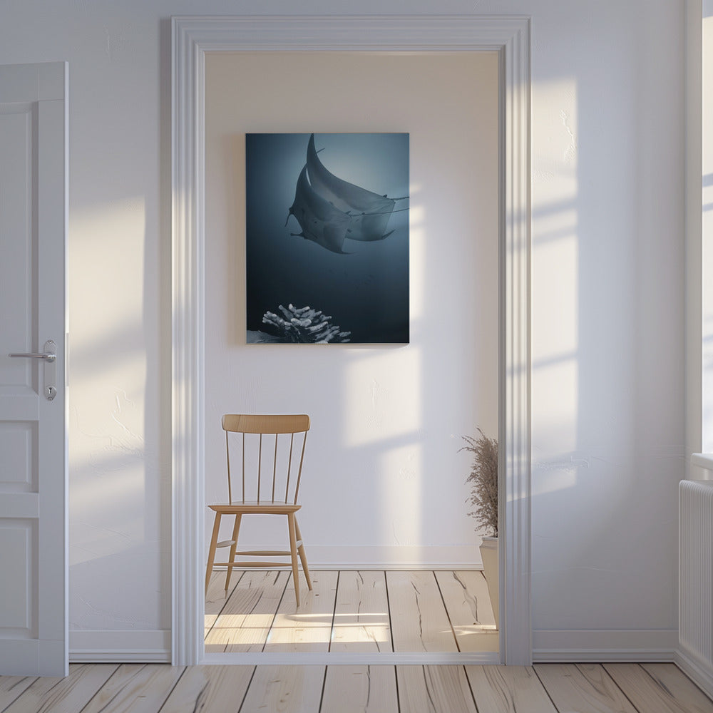 Sonata | Canvas