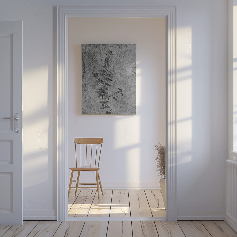 Concrete Blossoms | Canvas