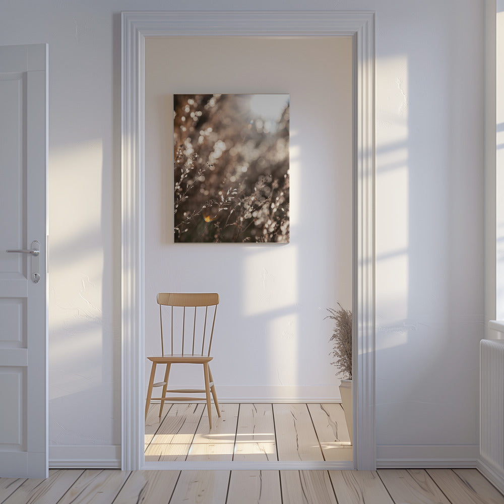 Warmes Winterlicht 6 | Leinwand