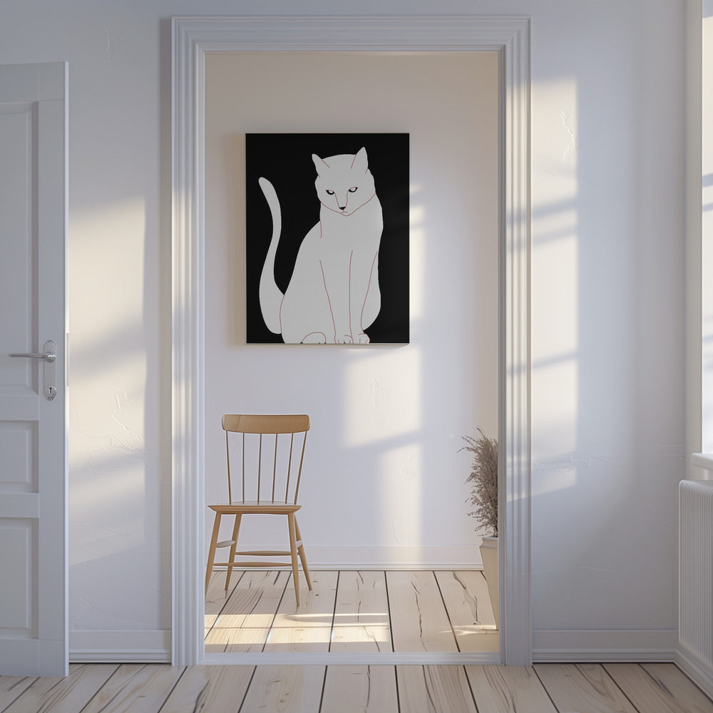 Weiße und schwarze Katze | Leinwand