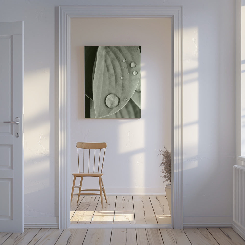 Tau auf Blatt Eleganz | Leinwand