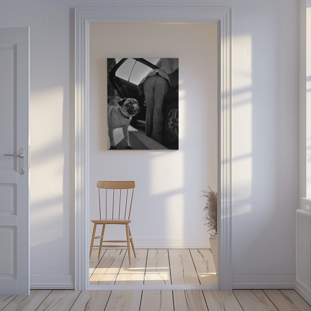 Ohne Titel | Leinwand
