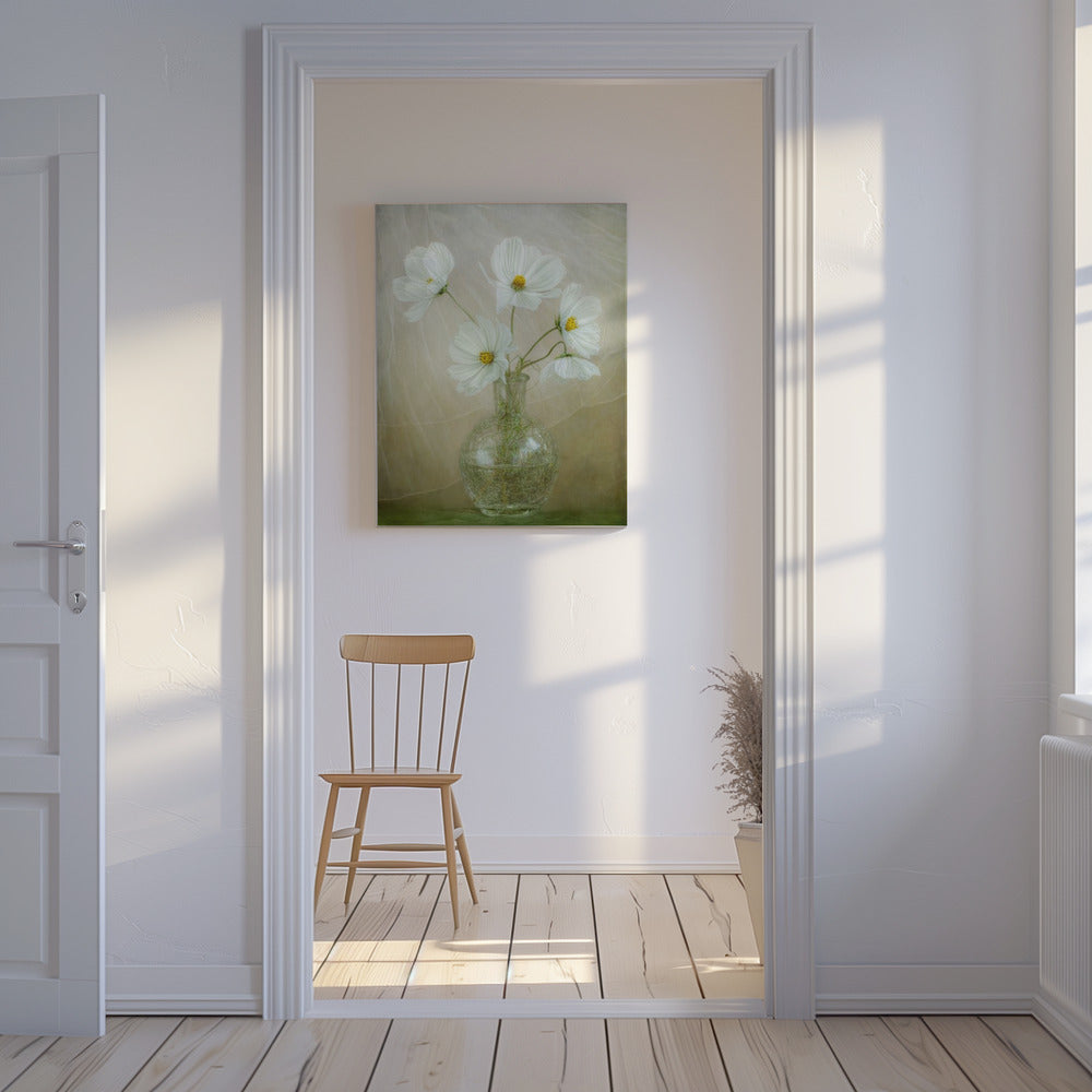 Cosmos breeze | Canvas
