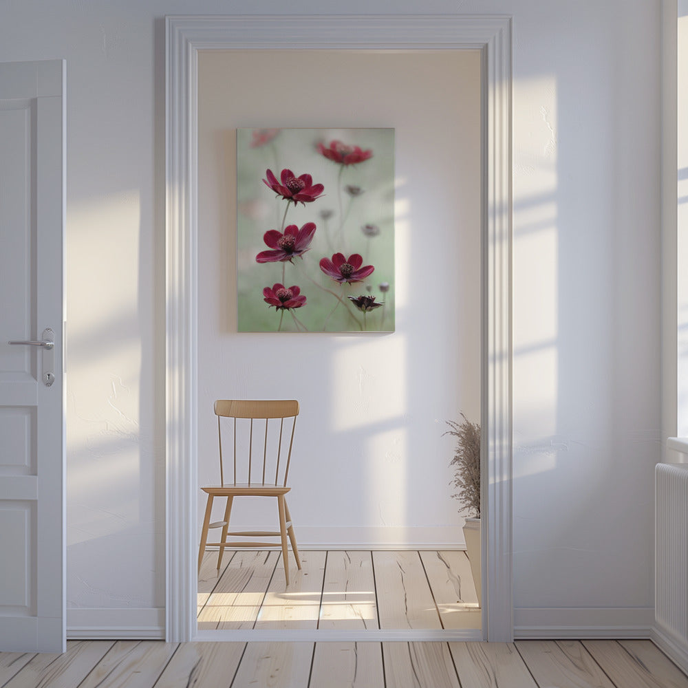 Cosmos sway | Canvas