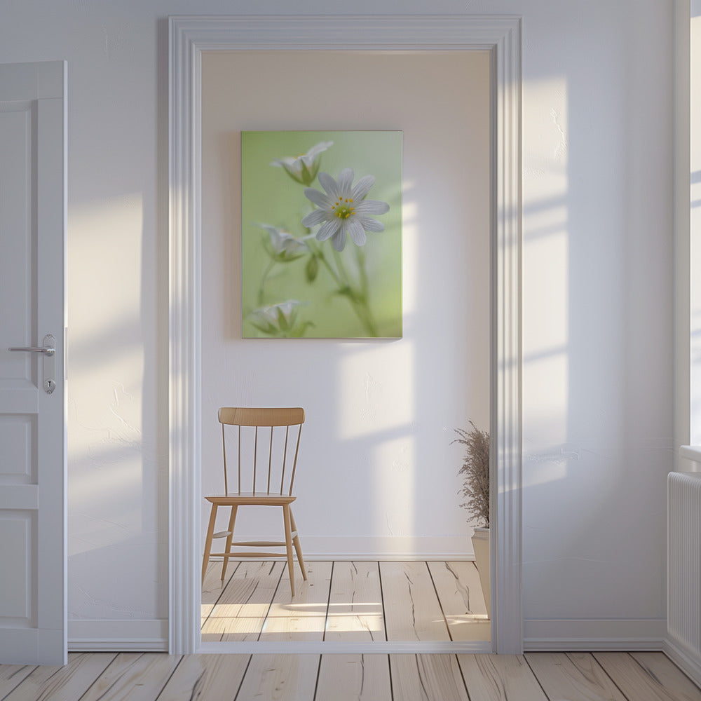 Spring sparkle | Canvas