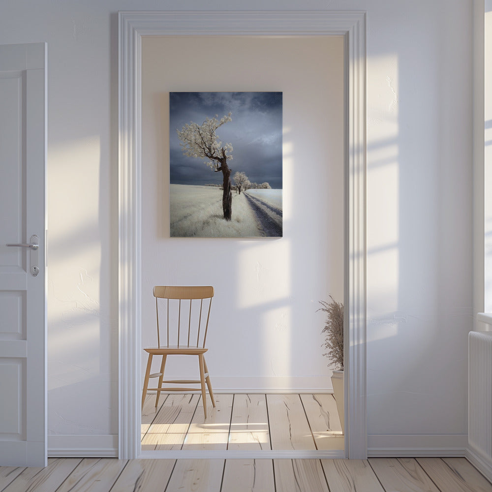 IRenka | Leinwand