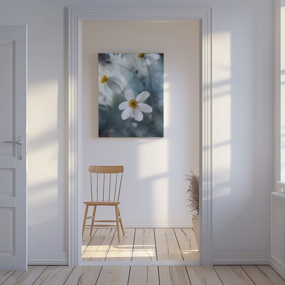 Cosmos | Canvas