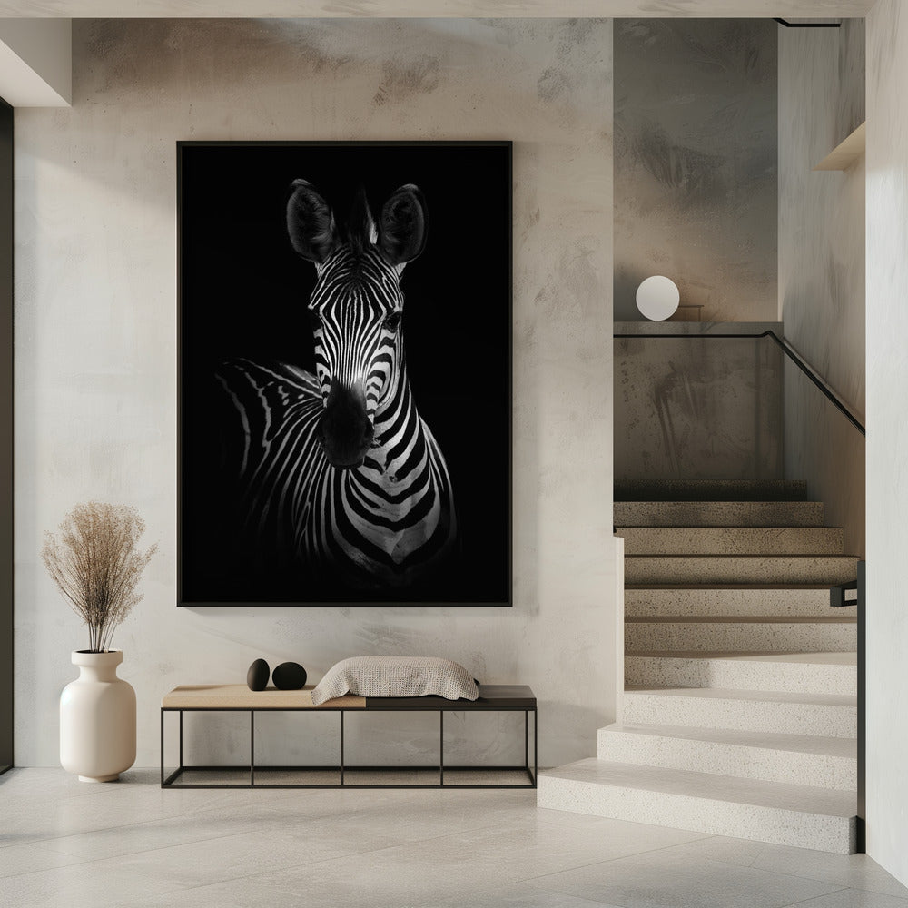 Das Zebra | Poster