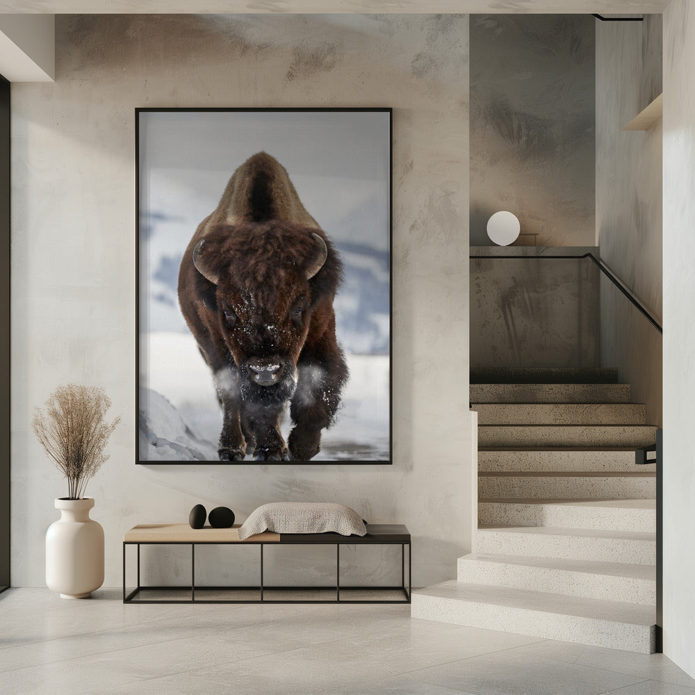 Bison Incoming | Poster