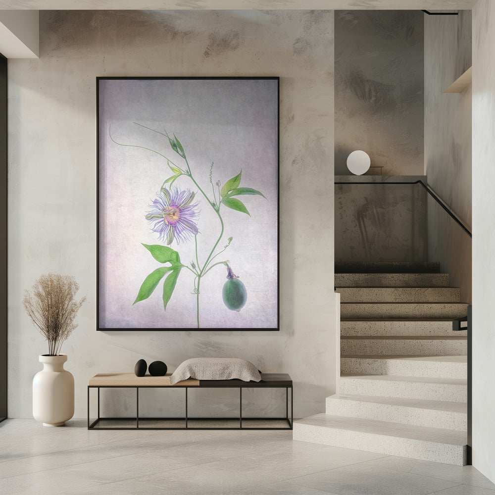Passionsfrucht | Poster