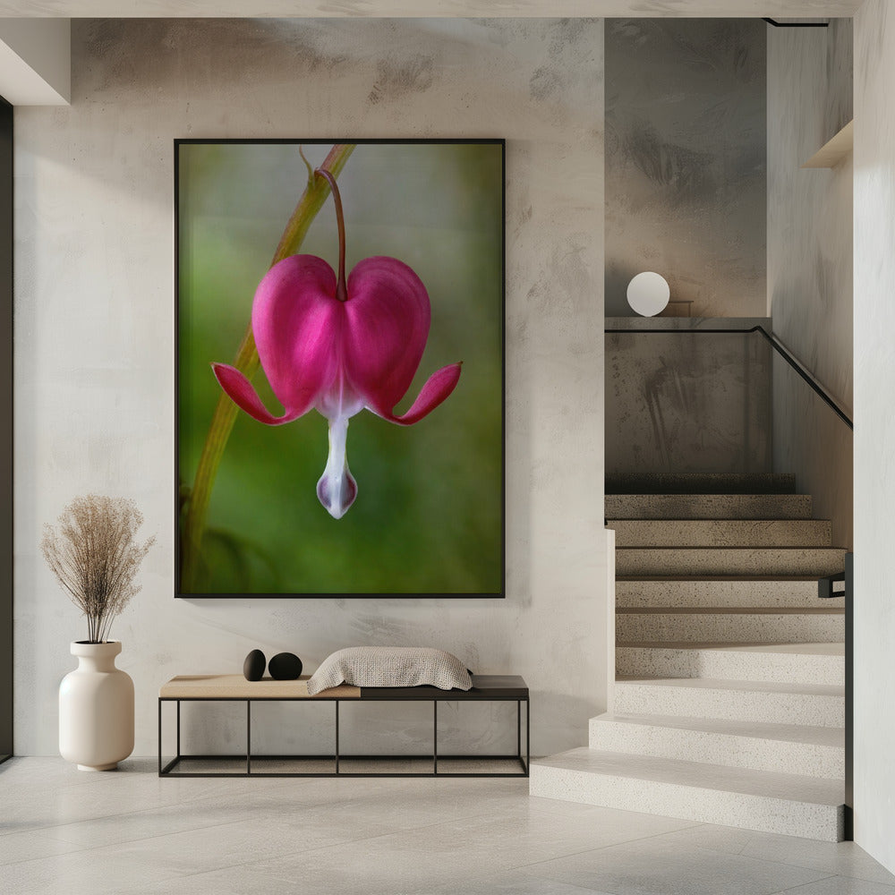 Bleeding Heart | Poster